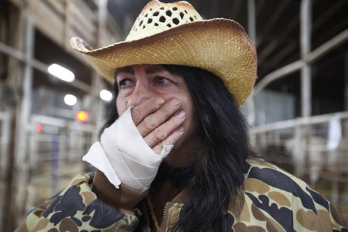 RUTH BONNEVILLE / WINNIPEG FREE PRESS

Rhonda Snow a farmer from Fort Frances Ontario holds back tears as she talks about her rare endangered breed of small horses known as Ojibway ponies at the Grunthal Livestock Auction Mart on Saturday.  Snow was told to sell the horses and ponies to cover her financial responsiblities as part of the divorce. 

The Ojibway ponies, which once roamed the wilds from Fort Frances to Minnesota, are now rare because of technological changes in agriculture that left them less relevant.  There are said to be  fewer than 50 breeding Ojibway ponies alive in the world.
 
See Bill Redekop story.  
Oct 14,, 2017