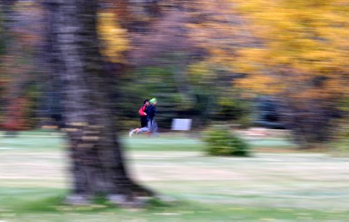 TREVOR HAGAN / WINNIPEG FREE PRESS
Participants in the Winnipeg Fire Paramedic Half Marathon run along Park Boulevard, Sunday, October 15, 2017.