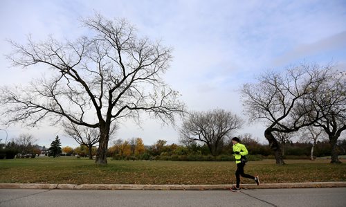 TREVOR HAGAN / WINNIPEG FREE PRESS
Participants in the Winnipeg Fire Paramedic Half Marathon run along Park Boulevard, Sunday, October 15, 2017.
