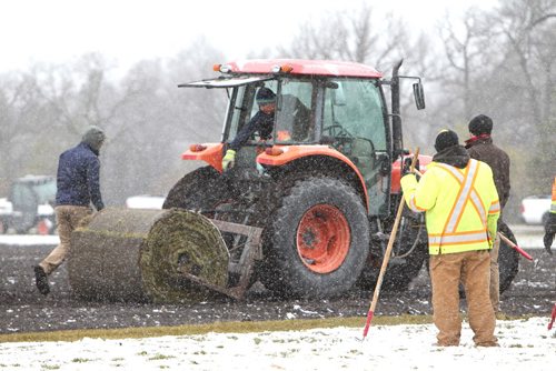 RUTH BONNEVILLE / WINNIPEG FREE PRESS

Workers with Assiniboine Park Conservancy lay rolls of sod on the new ultimate field in the park during blowing wind and snowfall.

Standup photo


Oct 26,, 2017