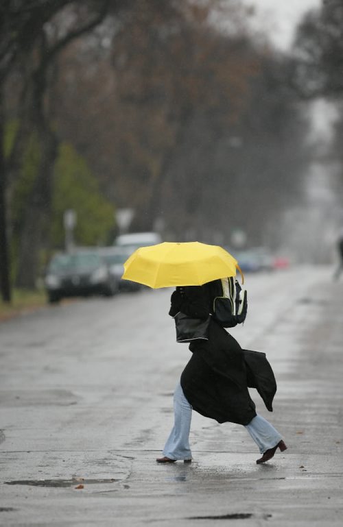 Brandon Sun A pedestrian stands out with her yellow umbrella as she makes her way along Louise Avenue on Tuesday afternoon. (Bruce Bumstead/Brandon Sun)