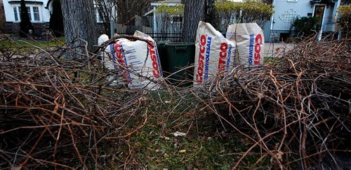 PHIL HOSSACK / WINNIPEG FREE PRESS  - Yard waste destined for the compost.   See Aldo Santin story.  - Oct 30, 2017