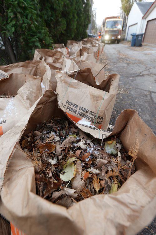 JOHN WOODS / WINNIPEG FREE PRESS
Yard waste bags in a River Heights back lane Monday, October 30, 2017. A city department is hoping it can turn the yard waste into cash.