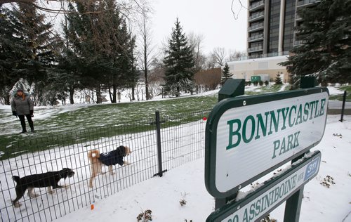 WAYNE GLOWACKI / WINNIPEG FREE PRESS

The downtown off-leash dog park located within Bonnycastle Park on Assiniboine Ave. opened Thursday. Carol Sanders   story   Nov. 16  2017
