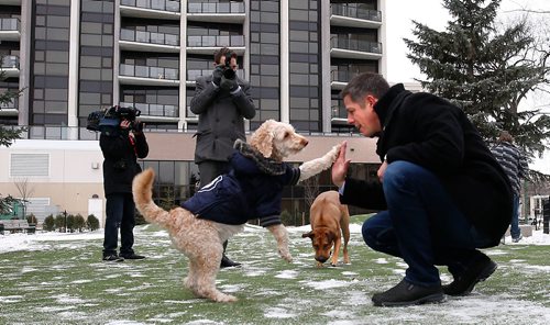 WAYNE GLOWACKI / WINNIPEG FREE PRESS

Mayor Brian Bowman high fives with his dog Indiana at the opening Thursday of the downtown off-leash dog park located within Bonnycastle Park on Assiniboine Ave. In back,  Indie smells the new artificial turf. Carol Sanders   story   Nov. 16  2017