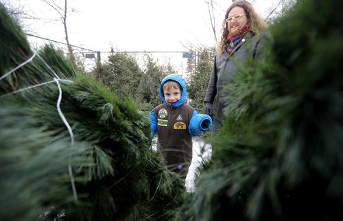 TREVOR HAGAN / WINNIPEG FREE PRESS
Josh Robern, right, and Percival, 5, moved to Winnipeg from California a few months ago, and are volunteering to sell Christmas Trees at the Corydon Community Centre parking lot in River Heights, Sunday, November 26, 2017.