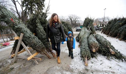 TREVOR HAGAN / WINNIPEG FREE PRESS
Josh Robern, and Percival, 5, moved to Winnipeg from California a few months ago, and are volunteering to sell Christmas Trees at the Corydon Community Centre parking lot in River Heights, Sunday, November 26, 2017.