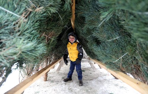TREVOR HAGAN / WINNIPEG FREE PRESS
Edwin Tokaruk, 3, finds a cozy place to hide while shopping for Christmas Trees at the lot in the Corydon Community Centre parking lot on Grosvenor Avenue, Sunday, November 26, 2011.