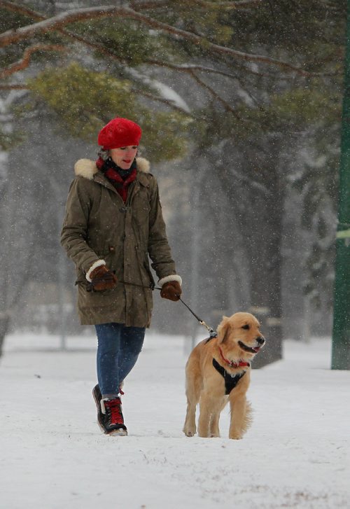 RUTH BONNEVILLE / WINNIPEG FREE PRESS

Lindsey Steek walks her 1 year golden retriever dog named Juno in fresh fallen snow along Wellington Crescent  Monday morning.

Standup photo 


Dec 04, 2017