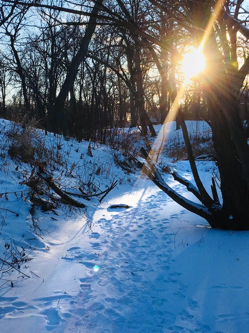 RUTH BONNEVILLE / WINNIPEG FREE PRESS

Late afternoon sun beams through the trees along the creek bed at Bruce Park Wednesday afternoon. 

Standup photo 

Dec 0\6, 2017