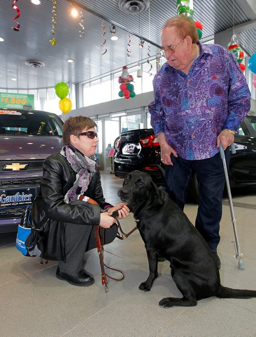 BORIS MINKEVICH / WINNIPEG FREE PRESS
Jim Gauthier Auto sponsors on seeing eye dog to the CNIB. Here is a photo of blind person Tracey Linklater with her working dog Missy and Jim Gauthier. Photo taken at the Jim Gauthier dealership at 1400 McPhillips. Canadian National Institute for the Blind says the dogs come from Australia and cost about $50,000 by the time they get working with a blind person. Dec. 7, 2017