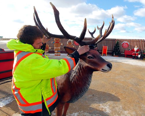 BORIS MINKEVICH / WINNIPEG FREE PRESS
Red River Exhibition Park operations dept. employee Dirck Fakes inspects one of Santa's reindeer on site at Canad Inns Winter Wonderland. It is Manitobas largest drive-thru light show and provides a brilliant presentation of over one million lights in 26 different theme areas. It runs December 1, 2017 to January 6, 2018 (closed Christmas Day) from 6 to 10 p.m. Dec. 8, 2017