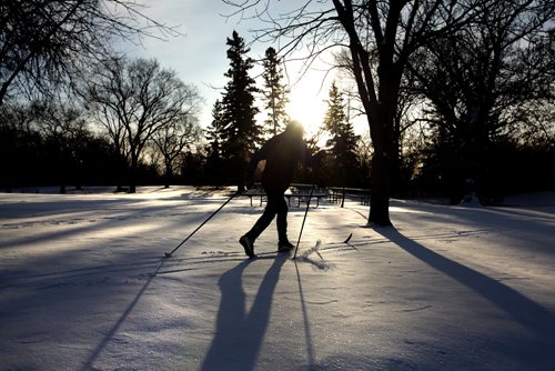 RUTH BONNEVILLE / WINNIPEG FREE PRESS

A cross country skier takes advantage of the fresh fallen snow to cut tracks in the long shadows of the morning light Monday at Assinibone Park.
Standup 
Dec 11, 2017