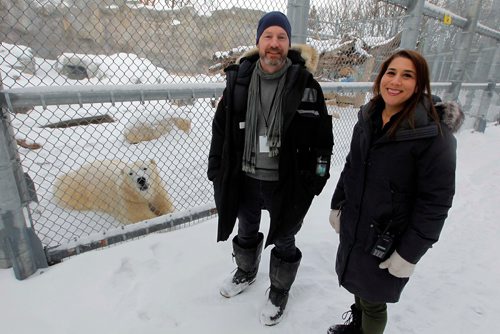 BORIS MINKEVICH / WINNIPEG FREE PRESS
A Walk in Our Park - Journey to Churchill and the Leatherdale Polar Bear Conservation Centre. From left, Dr. Stephen Petersen, Head of Conservation and Research and  member of their polar bear care/husbandry team and Allison Ginsburg, Curator of Animal Care(large carnivores) at Assiniboine Park Zoo. In the back is one of the many polar bears at the zoo. That bear is is called York. Dec. 18, 2017
