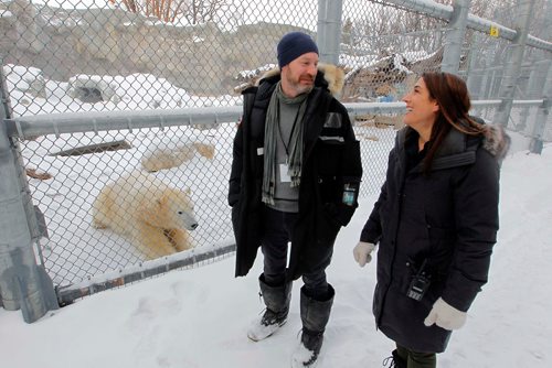 BORIS MINKEVICH / WINNIPEG FREE PRESS
A Walk in Our Park - Journey to Churchill and the Leatherdale Polar Bear Conservation Centre. From left, Dr. Stephen Petersen, Head of Conservation and Research and  member of their polar bear care/husbandry team and Allison Ginsburg, Curator of Animal Care(large carnivores) at Assiniboine Park Zoo. In the back is one of the many polar bears at the zoo. That bear is is called York. Dec. 18, 2017