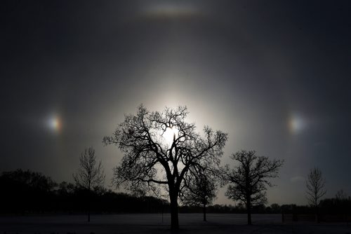 JOHN WOODS / WINNIPEG FREE PRESS
Sun dogs, caused by the refraction of sunlight by ice crystals, are seen at Assiniboine Park Monday, December 25, 2017. Windchill is expected to reach -41 in Winnipeg.