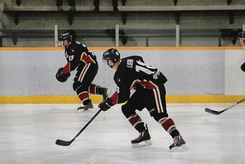 Canstar Community News Jan. 3, 2017 - Kale Ilchana (left) and Auzzie Loewen-Palmer are playing with the Raiders Jr. Hockey Club for the first year. (LIGIA BRAIDOTTI/CANSTAR COMMUNITY NEWS/TIMES)