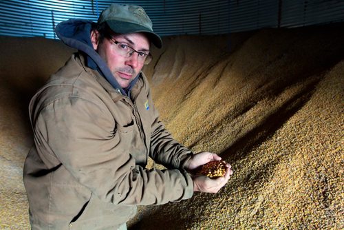 BORIS MINKEVICH / WINNIPEG FREE PRESS
Mike Bast is a grain farmer pleased by the elimination of the Canadian Wheat Board. Here he is with a handful of corn in one of his storage bins. Story about The Canadian Wheat Board, five years later: how farming has fared. Kelly Taylor story. January 11, 2018