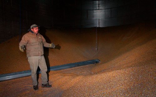 BORIS MINKEVICH / WINNIPEG FREE PRESS
Mike Bast is a grain farmer pleased by the elimination of the Canadian Wheat Board. Here he is in one of his storage bins. Story about The Canadian Wheat Board, five years later: how farming has fared. Kelly Taylor story. January 11, 2018