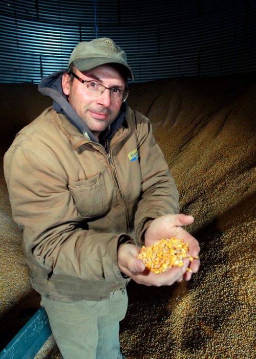 BORIS MINKEVICH / WINNIPEG FREE PRESS
Mike Bast is a grain farmer pleased by the elimination of the Canadian Wheat Board. Here he is with a handful of corn in one of his storage bins. Story about The Canadian Wheat Board, five years later: how farming has fared. Kelly Taylor story. January 11, 2018