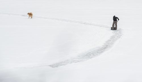 DAVID LIPNOWSKI / WINNIPEG FREE PRESS

A man shovels a skating trail on the Assiniboine River with his dog Sunday January 14, 2018.