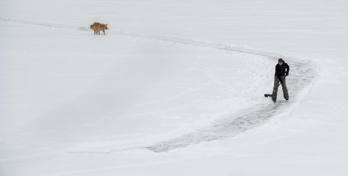 DAVID LIPNOWSKI / WINNIPEG FREE PRESS

A man shovels a skating trail on the Assiniboine River with his dog Sunday January 14, 2018.