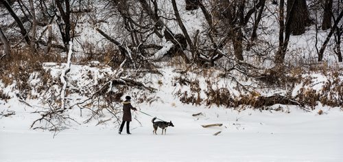 DAVID LIPNOWSKI / WINNIPEG FREE PRESS

A woman walks her dog on the Assiniboine River Sunday January 14, 2018.