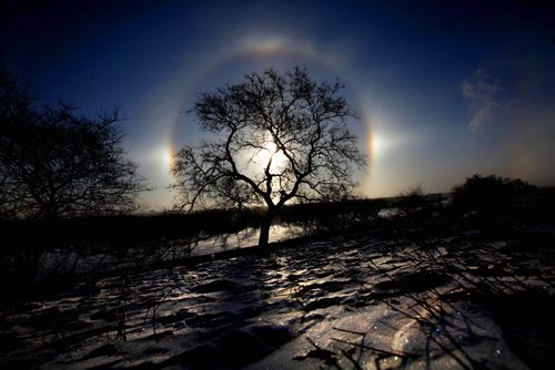 RUTH BONNEVILLE / WINNIPEG FREE PRESS

The sun dogs over Winnipeg created by the cold temperature  glow around a tree on top of Garbage Hill in Westview Park  Monday morning.

Standup 
Jan 15, 2018
