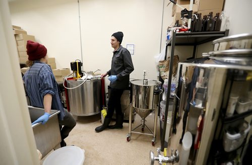 TREVOR HAGAN / WINNIPEG FREE PRESS
Daniel Pastuck, of Prism Kombucha, at FortWhyte Farms, Thursday, January 25, 2018.