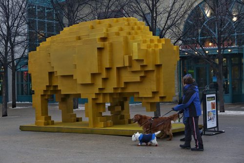 MIKE DEAL / WINNIPEG FREE PRESS
Pedestrians check out one of the winning submissions to this years warming huts competition at The Forks. The Golden Bison designed by David Alberto Arroyo Tafolla who is an architect from Mexico. 
180126 - Friday, January 26, 2018