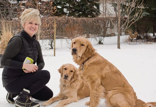 Canstar Community News Jan. 31, 2018 - Sandra Negrey, with her two golden retrievers Mac and Sully, is organizing a fundraising and awareness campaign for the Winnipeg Humane Society with the goal of bringing in $10,000. (DANIELLE DA SILVA/CANSTAR/SOUWESTER)