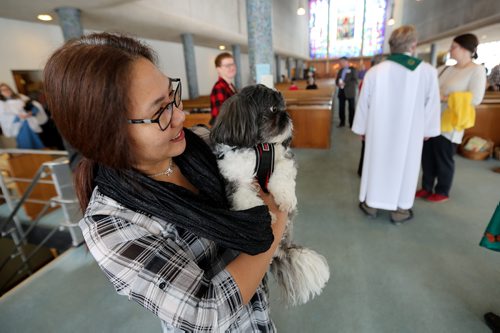 TREVOR HAGAN / WINNIPEG FREE PRESS
Victoria Drapete, and her service dog, Poncho, at St. George's Anglican Church, for faith page, Sunday, February 4, 2018.