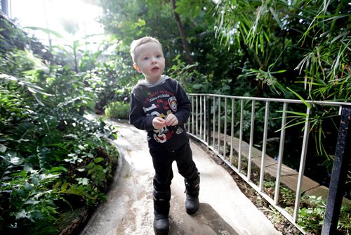 RUTH BONNEVILLE / WINNIPEG FREE PRESS


Conservatory Farewell 
Three-year-old Jaxon Orr expresses his excitement as he meanders around the paths discovering  the Tropical House in the Conservatory for the first time while visiting with his mom and little sister Monday.  

A poster outside the doors of the Tropical House at the Conservatory asks people to share their memories from the Conservatory with them as we prepare to say final goodbye to theTropical house which has been around for over 100 years.  Tag your pictures using #Conservatory Farewell on social media or send stories and images via Canada Post or email to:
Community Engagement, 55 Pavilion Crescent, Winnipeg, MB R3P 2N6
or email communityengagement@assinboinepark.ca
A Community Farewell Celebration will be held March 27 to April 2,  and the building will close on April 2nd.  


Standup photo 

February 5, 2018.
 
