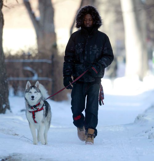 BORIS MINKEVICH / WINNIPEG FREE PRESS
Kane the Siberian Husky gets his cold weather exercise from his owner Renaldo Boney on Edmonton Street near Assiniboine Ave. today. He says he walks the 6 month old dog at least 3 times a day for an hour each time. Feb. 15, 2018