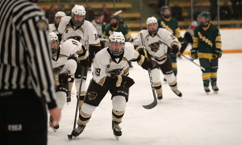 TREVOR HAGAN / WINNIPEG FREE PRESS
Manitoba Bisons, Mekaela Fisher (19) leading her line mates off the ice after she scored against the Alberta Pandas, Friday, February 23, 2018.