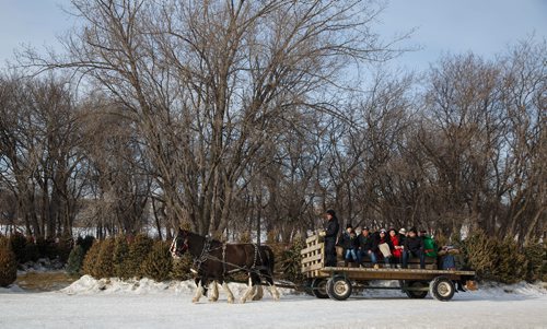 MIKE DEAL / WINNIPEG FREE PRESS
Festival goers enjoy a sleigh ride during the last weekend at the Festival du Voyageur in Fort Gibraltar.
180224 - Saturday, February 24, 2018.