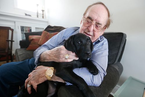 JOHN WOODS / WINNIPEG FREE PRESS
Jim Gauthier holds Joycie, future Canadian National Institute for the Blind (CNIB) guide dog, in her foster home Monday, February 26, 2018. Joycie, who is named after Gauthier's late wife, arrived in Canada last week from a breeder in Australia, along with her sister Lulu. The two pups are the first guide dogs the CNIB will train here in Winnipeg with Gauthier's financial support. 

