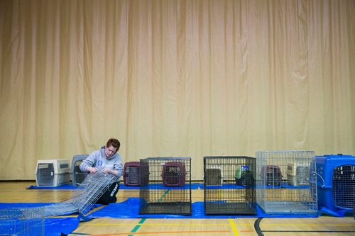 MIKAELA MACKENZIE / WINNIPEG FREE PRESS
Manitoba Underdogs volunteer Krista Forte sets kennels up for a dog spay and neuter clinic in the school gym on the Chemawawin Reserve, Manitoba on Friday, Feb. 23, 2018. Many Northern Manitoban communities have problems with stray dog overpopulation, and initiatives like these aim to reduce their numbers in a humane way while increasing the quality of life for dogs and humans.
180223 - Friday, February 23, 2018.