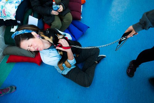 MIKAELA MACKENZIE / WINNIPEG FREE PRESS
Manitoba Underdogs volunteer Meg Norton cuddles a puppy at the spay and neuter clinic on the Chemawawin First Nation Reserve, Manitoba on Saturday, Feb. 24, 2018. Many Northern Manitoban communities have problems with stray dog overpopulation, and initiatives like these aim to reduce their numbers in a humane way while increasing the quality of life for dogs and humans.
180224 - Saturday, February 24, 2018.