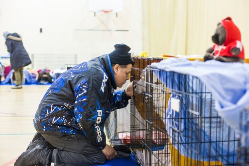 MIKAELA MACKENZIE / WINNIPEG FREE PRESS
Jeff Thomas visits with his dog, Cotton, as she recovers after being spayed at a dog spay and neuter clinic run by the Manitoba Underdogs Association on the Chemawawin First Nation Reserve, Manitoba on Saturday, Feb. 24, 2018. Thomas is a self-identified animal lover, and owns seven dogs. He fully supports the initiative.
180224 - Saturday, February 24, 2018.