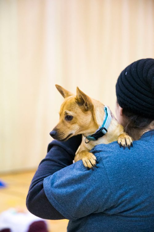 MIKAELA MACKENZIE / WINNIPEG FREE PRESS
Manitoba Underdogs volunteer Melissa Spence cuddles a dog at the spay and neuter clinic on the Chemawawin First Nation Reserve, Manitoba on Saturday, Feb. 24, 2018. Many Northern Manitoban communities have problems with stray dog overpopulation, and initiatives like these aim to reduce their numbers in a humane way while increasing the quality of life for dogs and humans.
180224 - Saturday, February 24, 2018.