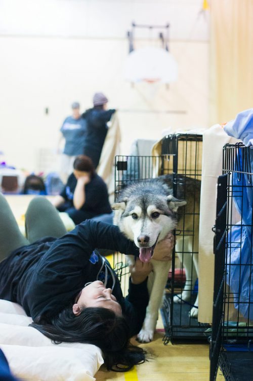 MIKAELA MACKENZIE / WINNIPEG FREE PRESS
Manitoba Underdogs volunteer Jasmyn Monkan pets a dog recovering from surgery at a dog spay and neuter clinic on the Chemawawin First Nation Reserve, Manitoba on Saturday, Feb. 24, 2018. Many Northern Manitoban communities have problems with stray dog overpopulation, and initiatives like these aim to reduce their numbers in a humane way while increasing the quality of life for dogs and humans.
180224 - Saturday, February 24, 2018.
