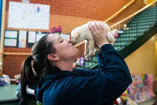 MIKAELA MACKENZIE / WINNIPEG FREE PRESS
Manitoba Underdogs volunteer Shawna Beach-Nelson kisses a puppy at a dog spay and neuter clinic on the Chemawawin First Nation Reserve, Manitoba on Saturday, Feb. 24, 2018. Many Northern Manitoban communities have problems with stray dog overpopulation, and initiatives like these aim to reduce their numbers in a humane way while increasing the quality of life for dogs and humans.
180224 - Saturday, February 24, 2018.