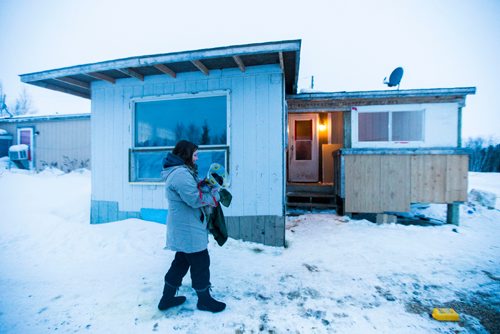 MIKAELA MACKENZIE / WINNIPEG FREE PRESS
Manitoba Underdogs volunteer Mychal Nemetchuk drops off a fixed dog to a community member on the Chemawawin First Nation Reserve, Manitoba on Saturday, Feb. 24, 2018. Many Northern Manitoban communities have problems with stray dog overpopulation, and initiatives like these aim to reduce their numbers in a humane way while increasing the quality of life for dogs and humans.
180224 - Saturday, February 24, 2018.