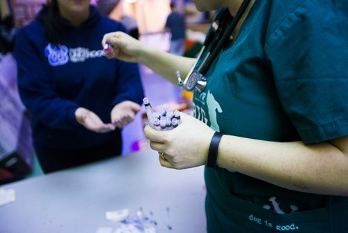 MIKAELA MACKENZIE / WINNIPEG FREE PRESS
Vet tech Laura Vanderveen vaccinates dogs on the Chemawawin First Nation Reserve, Manitoba on Saturday, Feb. 24, 2018. Many Northern Manitoban communities have problems with stray dog overpopulation, and initiatives like these aim to reduce their numbers in a humane way while increasing the quality of life for dogs and humans.
180224 - Saturday, February 24, 2018.