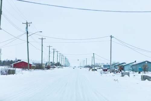 MIKAELA MACKENZIE / WINNIPEG FREE PRESS
Dogs on the Chemawawin First Nation Reserve, Manitoba on Sunday, Feb. 25, 2018. 
180225 - Sunday, February 25, 2018.