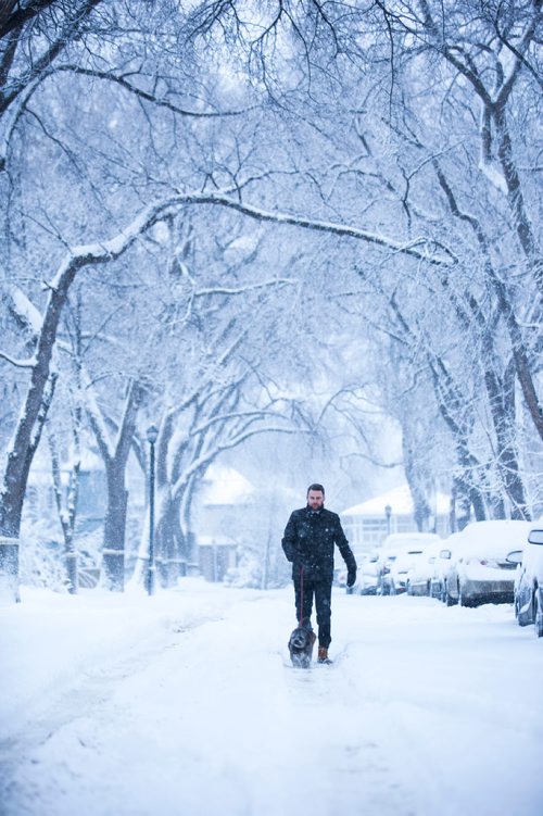 MIKAELA MACKENZIE / WINNIPEG FREE PRESS
Aaron Challis walks his dog, Beasley in the middle of the road to avoid deep snow in Winnipeg, Manitoba on Monday, March 5, 2018.
180305 - Monday, March 05, 2018.