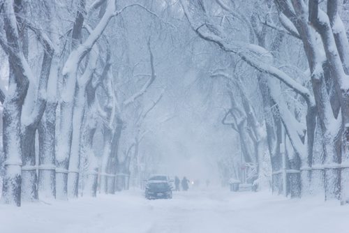 MIKAELA MACKENZIE / WINNIPEG FREE PRESS
People navigate the snowy conditions after a big dump in Winnipeg, Manitoba on Monday, March 5, 2018.
180305 - Monday, March 05, 2018.