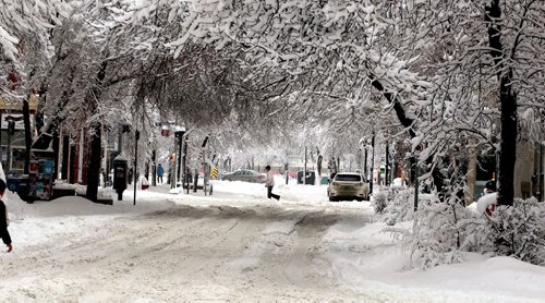 BORIS MINKEVICH / WINNIPEG FREE PRESS
Winter storm grips Winnipeg today. A canopy of snow creates a pretty winter scene on Albert Street near McDermot Avenue. Photo looking north.. March 5, 2018
