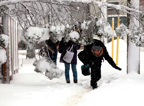 BORIS MINKEVICH / WINNIPEG FREE PRESS
Winter storm grips Winnipeg today. These Université de Saint-Boniface students had an adventure walking to school on Rue Aulneau near Provencher Blvd. Many trees were loaded up with snow and hung down. (They didn't want their names used.) March 5, 2018